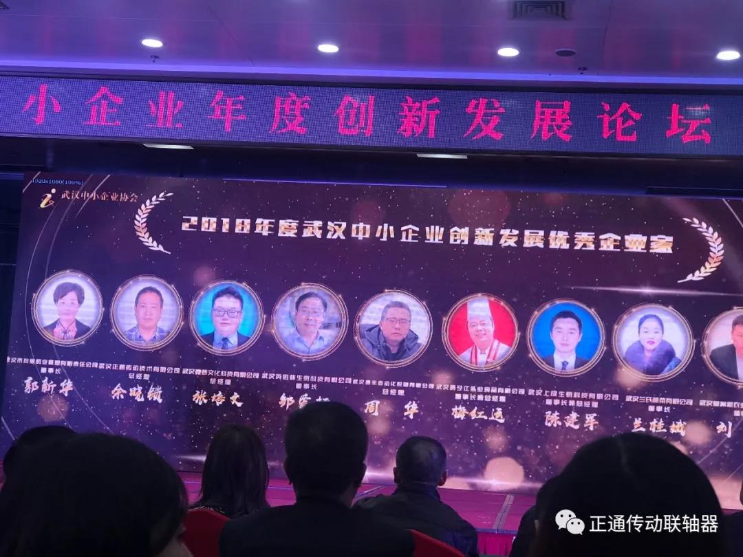 公司获得武汉市名企、名家、名品多项荣誉称号
