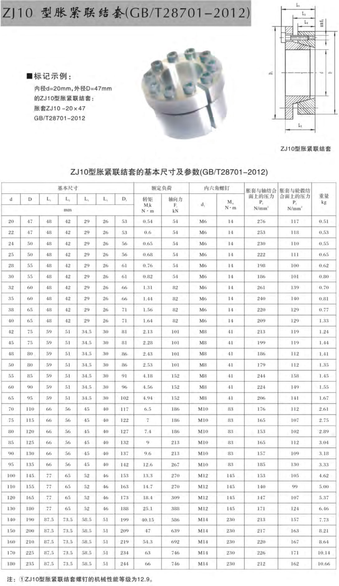 zj10.jpg