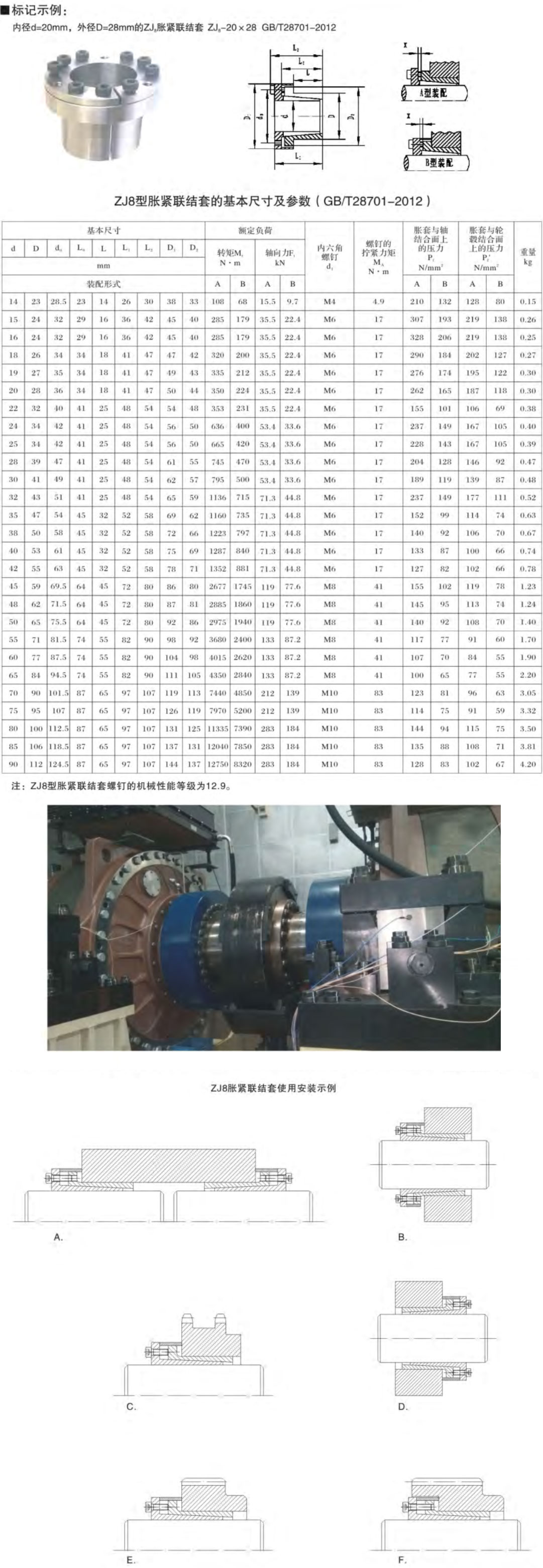 zj8.jpg